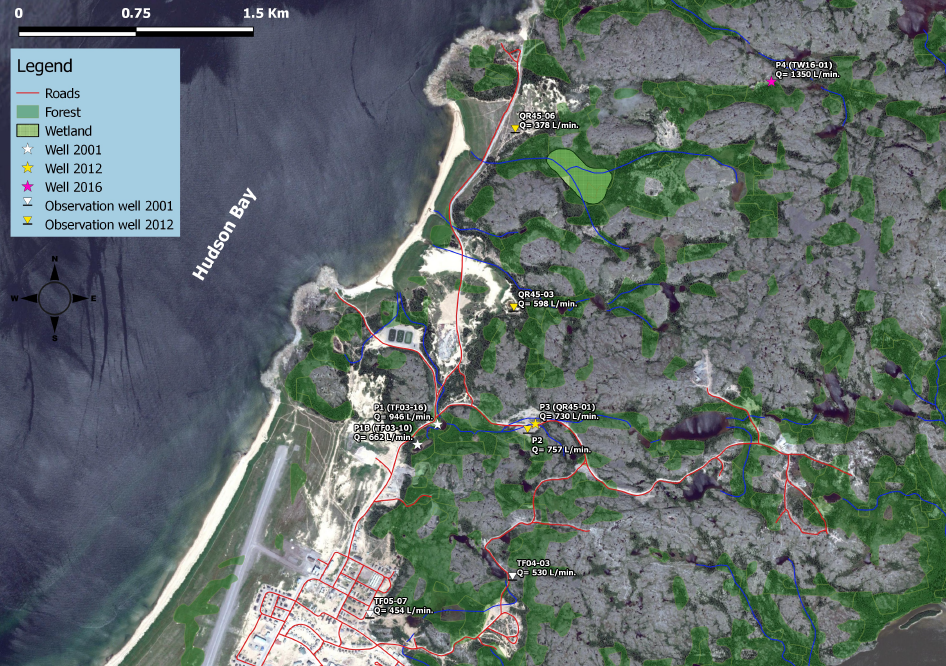 Zones forêt sur fond image satellite. Quelques éléments anthropiques.